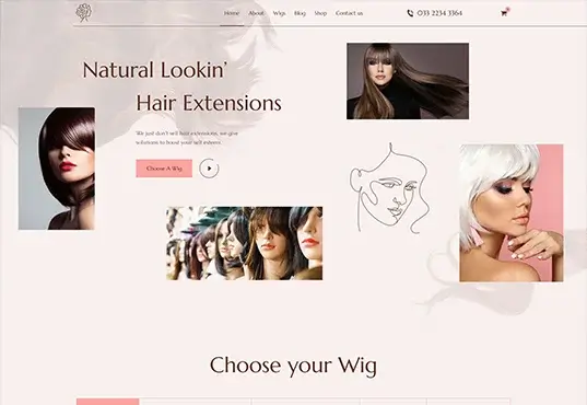 Hair and Hair Accessories project 1